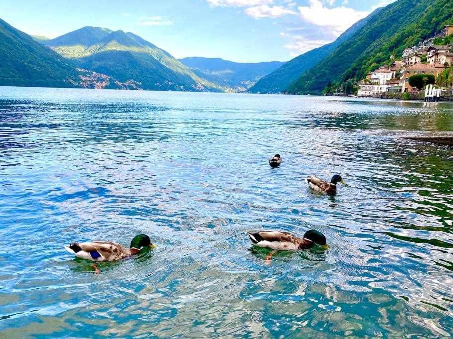 Una Finestra Sul Lago Argegno Eksteriør bilde